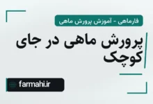 پرورش ماهی در جای کوچک