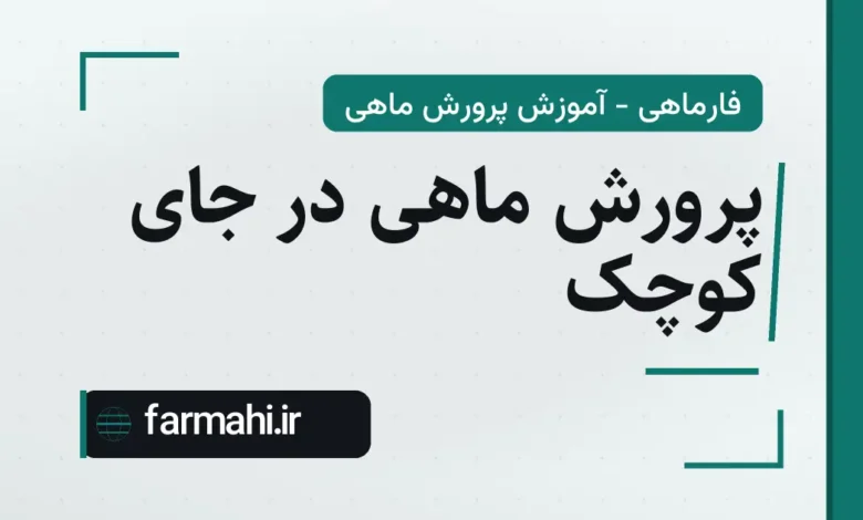 پرورش ماهی در جای کوچک