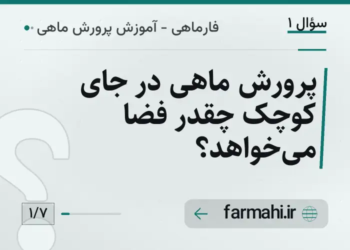 پرورش ماهی در جای کوچک چقدر فضا می‌خواهد؟