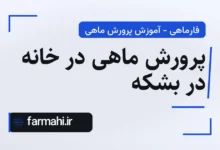 پرورش ماهی در خانه در بشکه