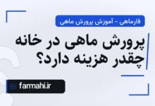 پرورش ماهی در خانه چقدر هزینه دارد؟