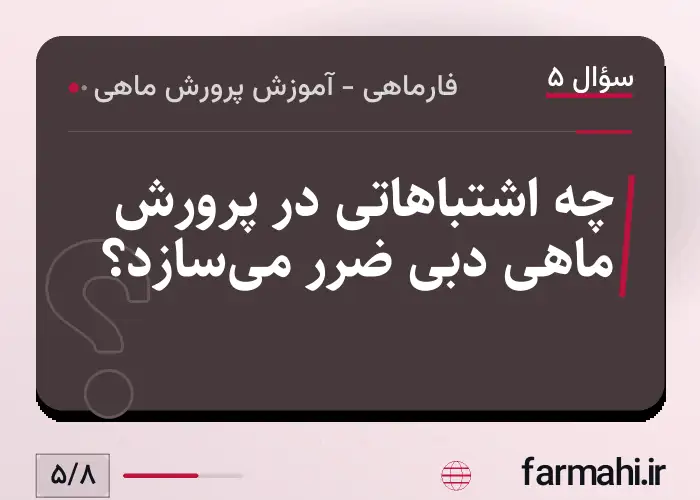 چه اشتباهاتی در پرورش ماهی دبی ضرر می‌سازد؟