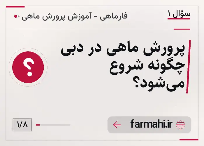 پرورش ماهی در دبی چگونه شروع می‌شود؟