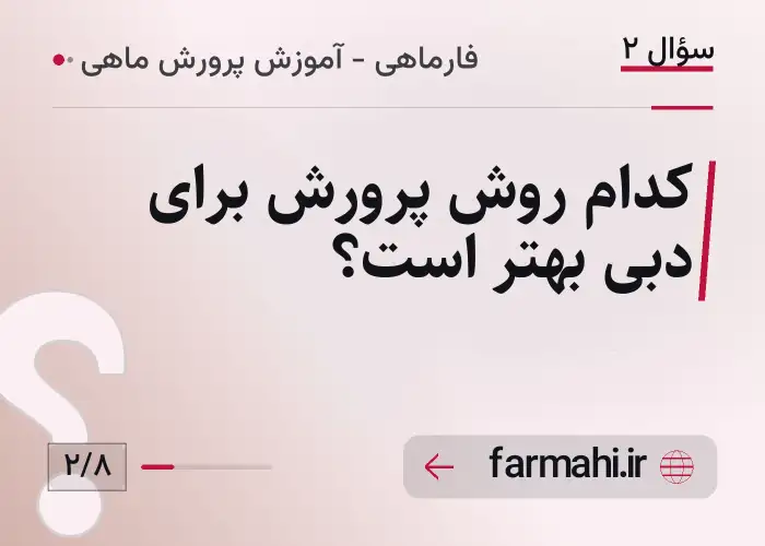 کدام روش پرورش برای دبی بهتر است؟