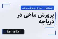 پرورش ماهی در دریاچه