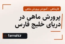 پرورش ماهی در دریای خلیج فارس