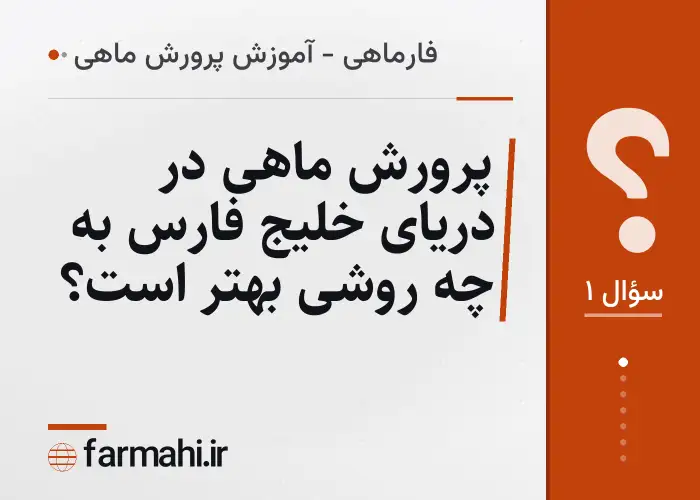پرورش ماهی در دریای خلیج فارس به چه روشی بهتر است؟