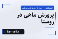 پرورش ماهی در روستا