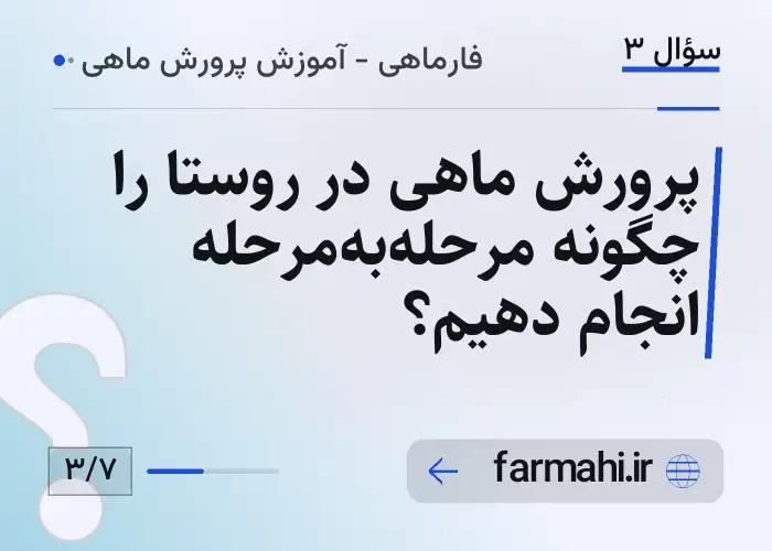 پرورش ماهی در روستا را چگونه مرحله‌به‌مرحله انجام دهیم؟