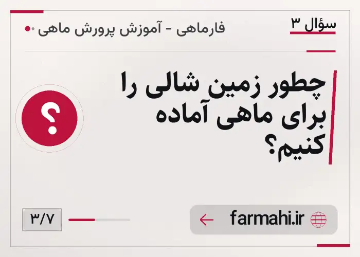 چطور زمین شالی را برای ماهی آماده کنیم؟