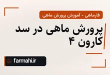 پرورش ماهی در سد کارون ۴