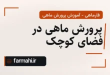 پرورش ماهی در فضای کوچک