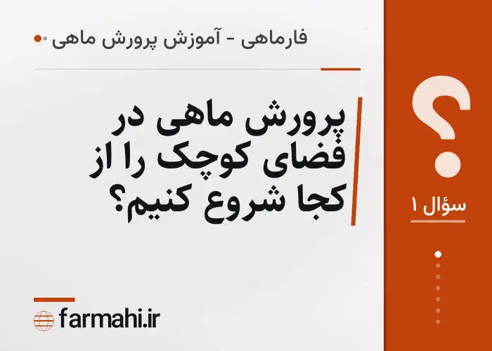 پرورش ماهی در فضای کوچک را از کجا شروع کنیم؟