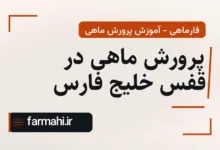 پرورش ماهی در قفس خلیج فارس