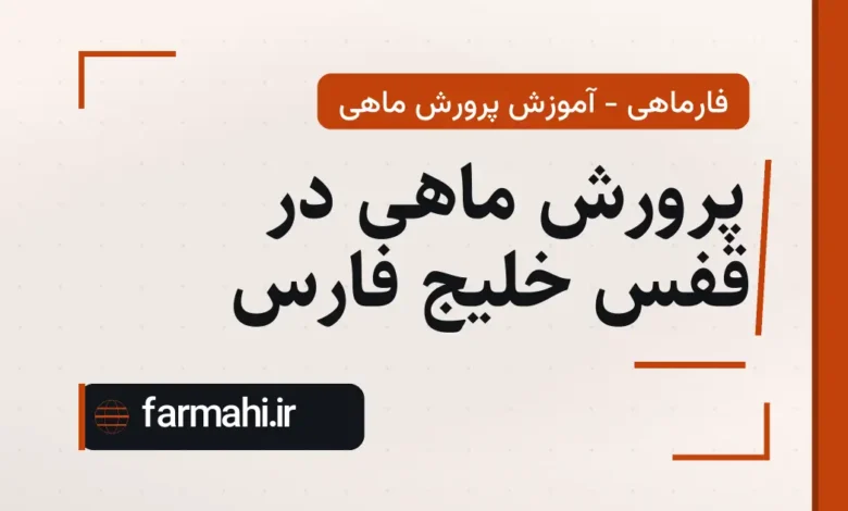 پرورش ماهی در قفس خلیج فارس