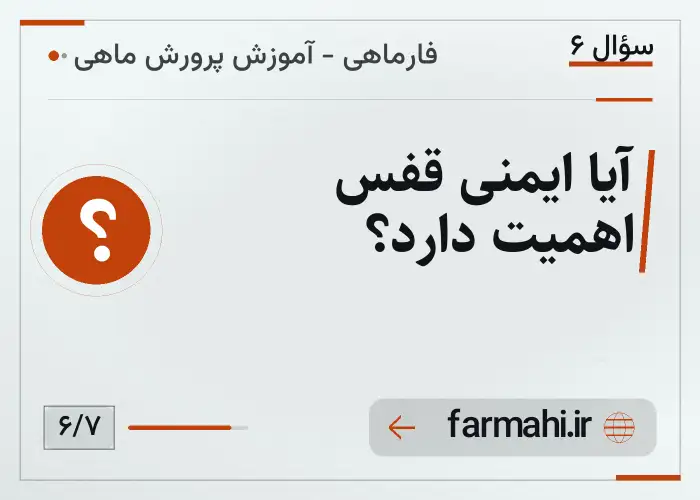 آیا ایمنی قفس اهمیت دارد؟