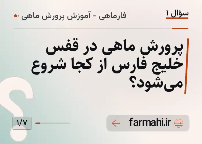 پرورش ماهی در قفس خلیج فارس از کجا شروع می‌شود؟