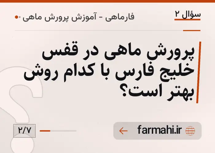 پرورش ماهی در قفس خلیج فارس با کدام روش بهتر است؟