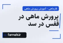 پرورش ماهی در قفس در سد