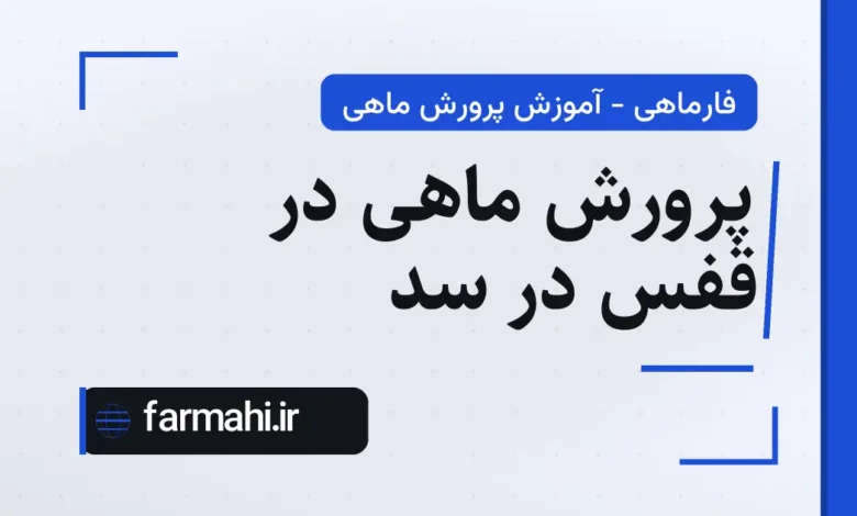 پرورش ماهی در قفس در سد