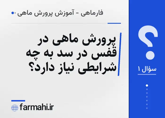 پرورش ماهی در قفس در سد به چه شرایطی نیاز دارد؟