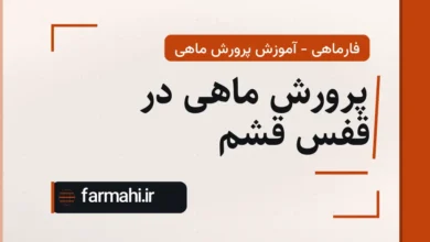 پرورش ماهی در قفس قشم