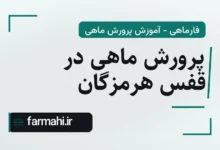 پرورش ماهی در قفس هرمزگان
