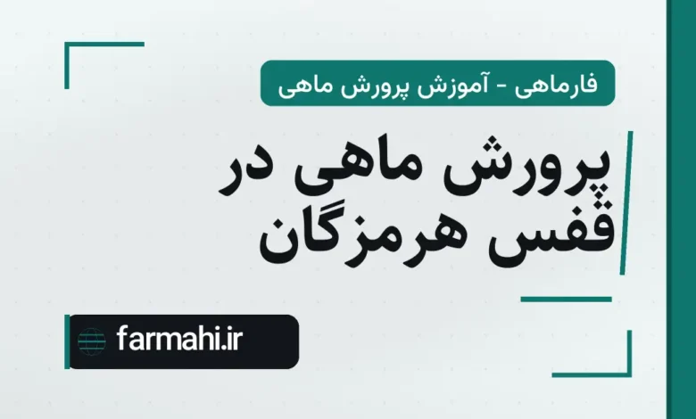 پرورش ماهی در قفس هرمزگان