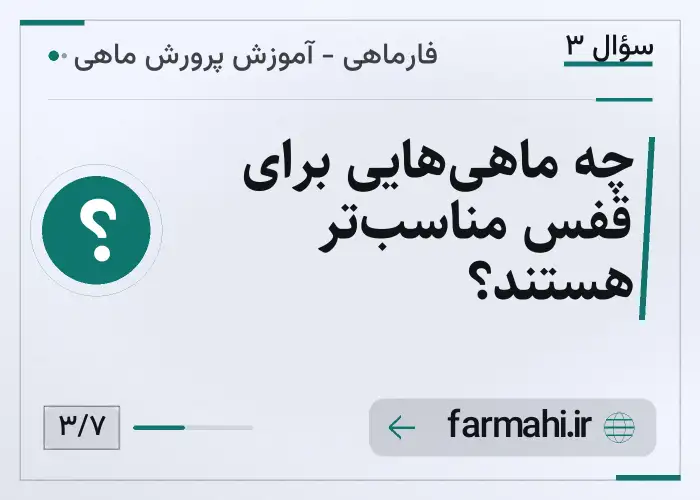 چه ماهی‌هایی برای قفس مناسب‌تر هستند؟