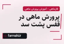 پرورش ماهی در قفس پشت سد