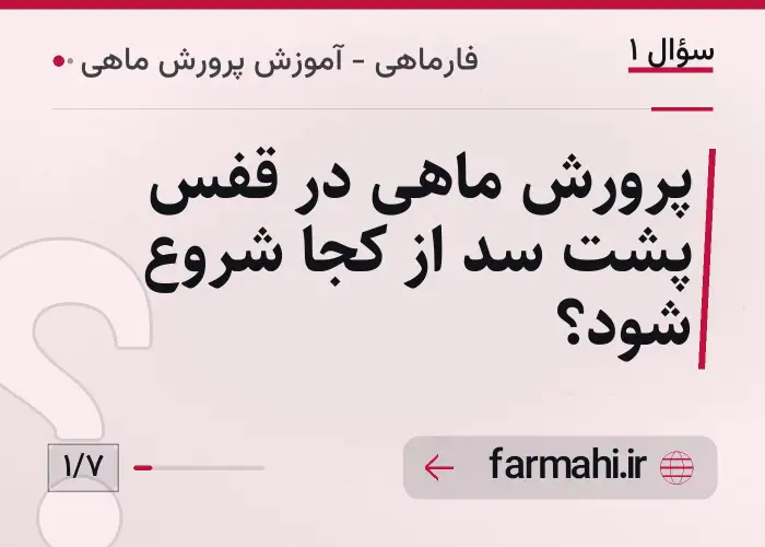 پرورش ماهی در قفس پشت سد از کجا شروع شود؟