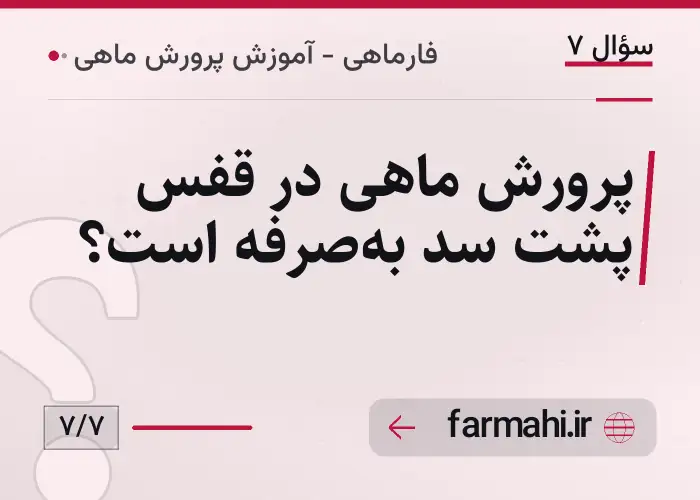 پرورش ماهی در قفس پشت سد به‌صرفه است؟