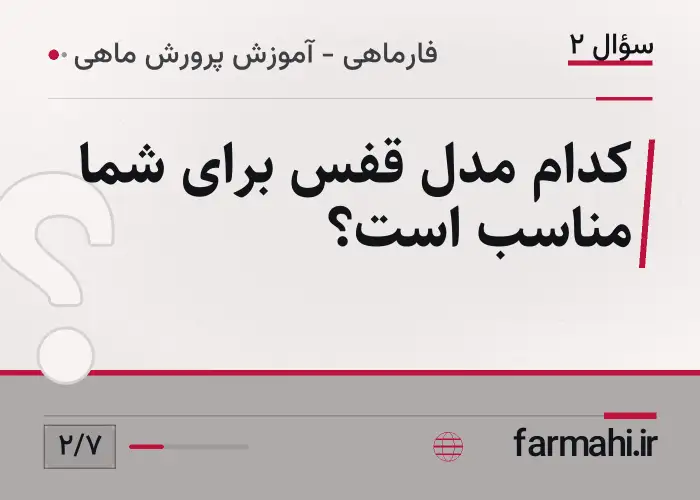 کدام مدل قفس برای شما مناسب است؟