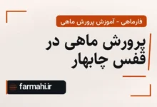 پرورش ماهی در قفس چابهار