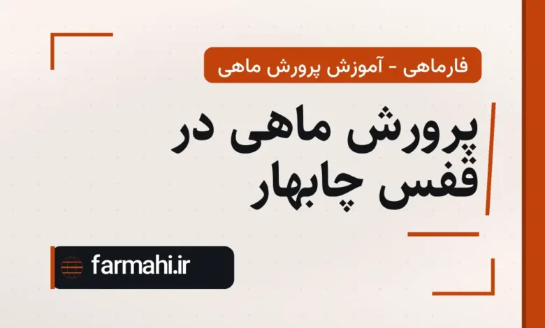 پرورش ماهی در قفس چابهار