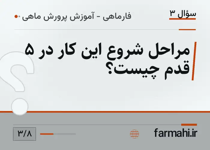 مراحل شروع این کار در ۵ قدم چیست؟