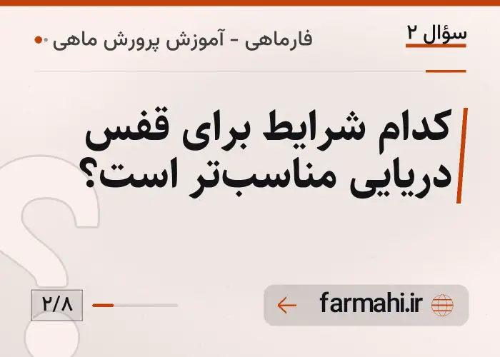 کدام شرایط برای قفس دریایی مناسب‌تر است؟