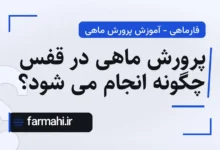 پرورش ماهی در قفس چگونه انجام می شود؟