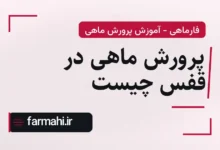 پرورش ماهی در قفس چیست