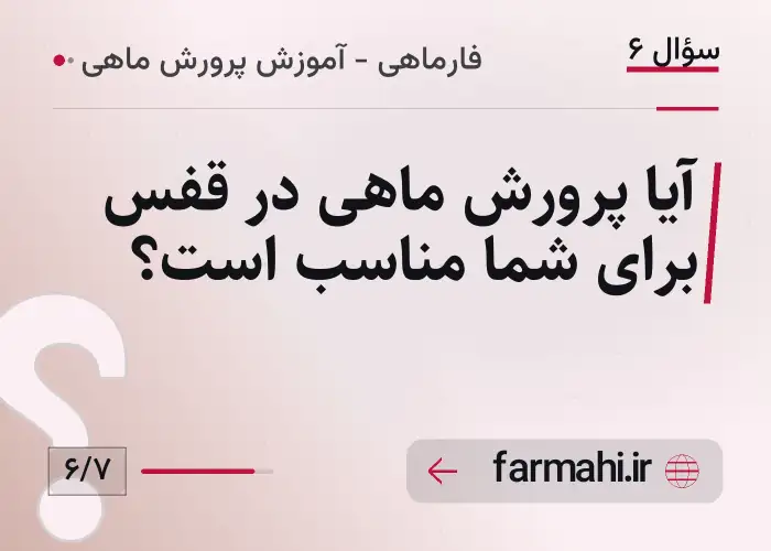 آیا پرورش ماهی در قفس برای شما مناسب است؟