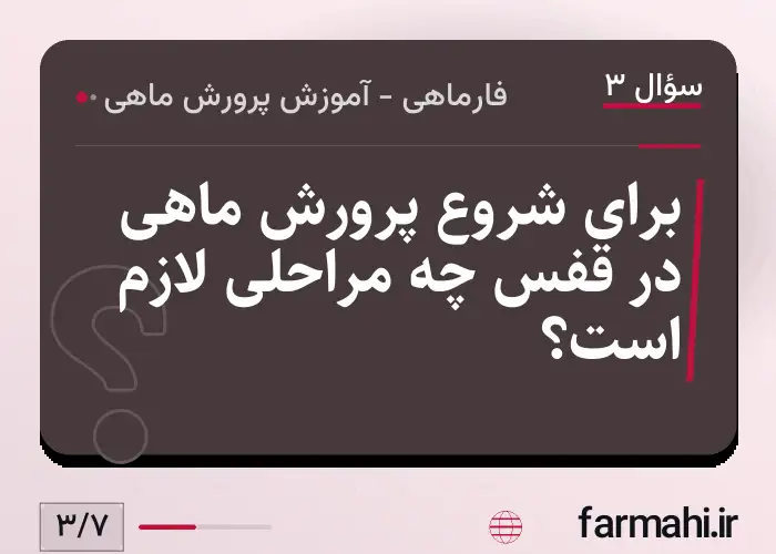 برای شروع پرورش ماهی در قفس چه مراحلی لازم است؟