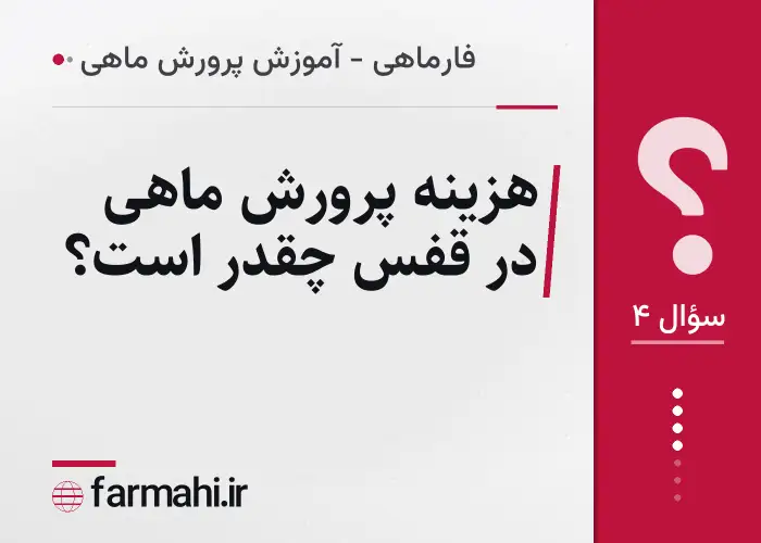 هزینه پرورش ماهی در قفس چقدر است؟