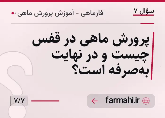 پرورش ماهی در قفس چیست و در نهایت به‌صرفه است؟