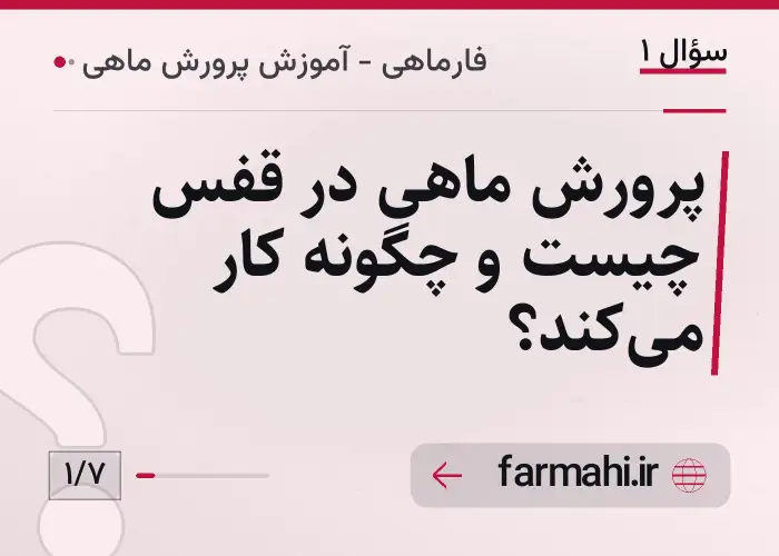 پرورش ماهی در قفس چیست و چگونه کار می‌کند؟