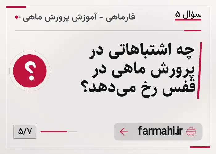 چه اشتباهاتی در پرورش ماهی در قفس رخ می‌دهد؟