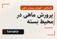 پرورش ماهی در محیط بسته