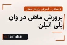 پرورش ماهی در وان پلی اتیلن