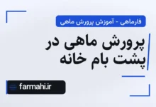 پرورش ماهی در پشت بام خانه