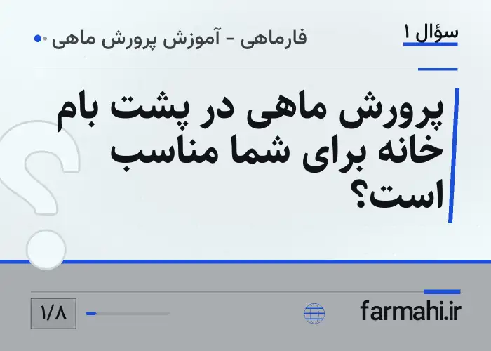 پرورش ماهی در پشت بام خانه برای شما مناسب است؟