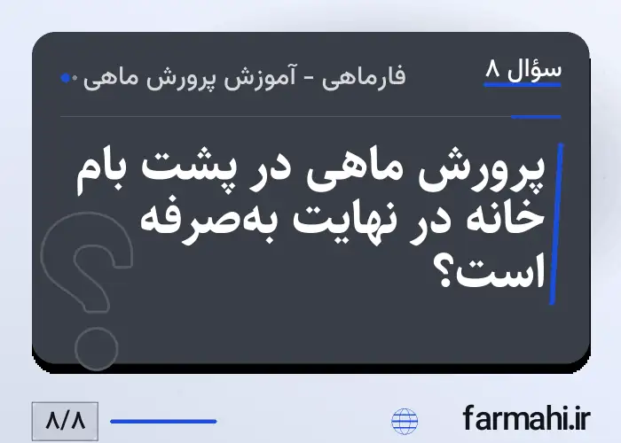 پرورش ماهی در پشت بام خانه در نهایت به‌صرفه است؟